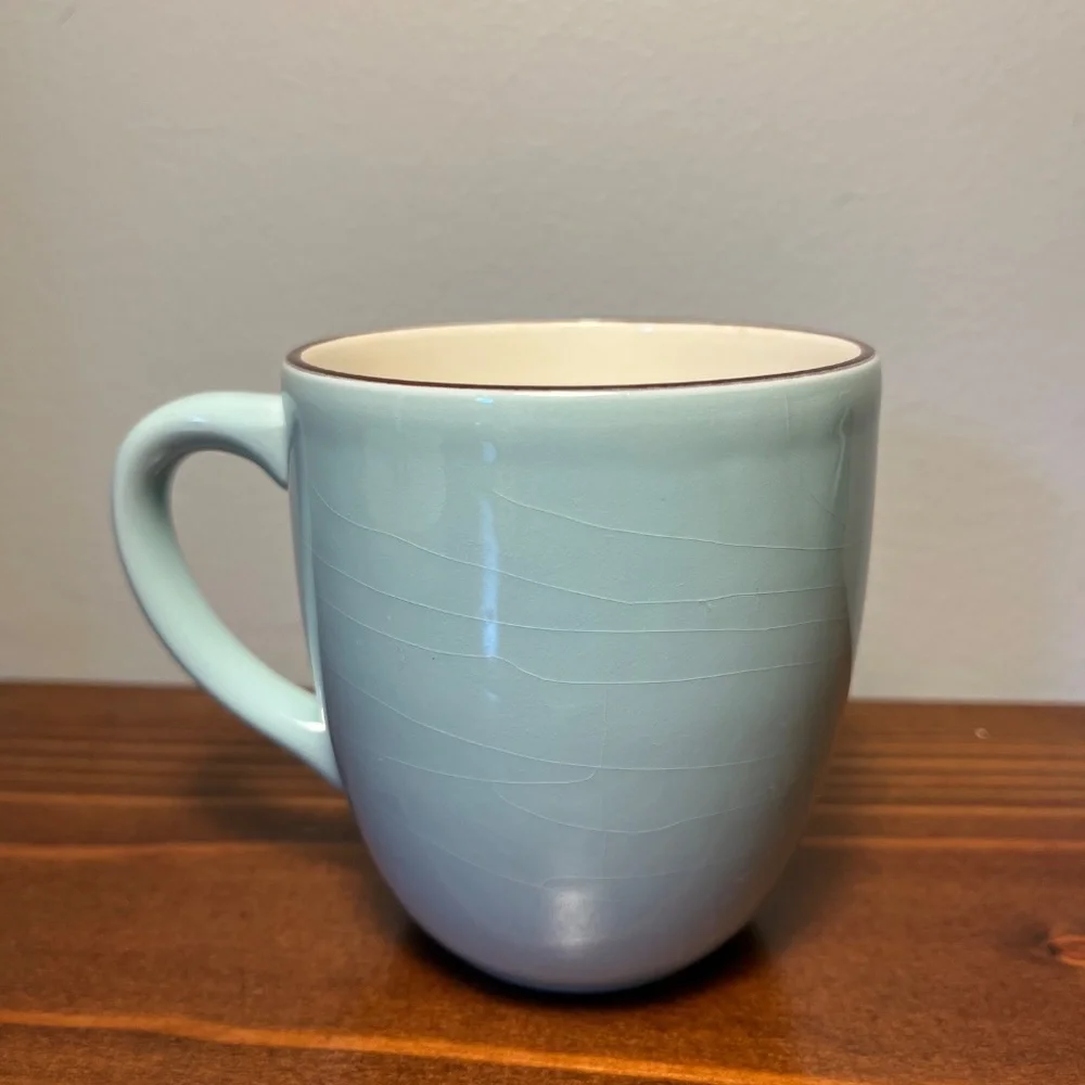 Crate & Barrel Audrey Coffee Mugs – Set of 4 (Robin’s Egg Blue)